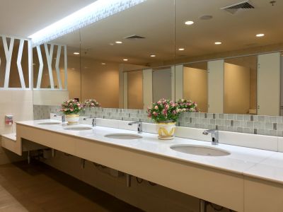 Decorative Bathroom Features